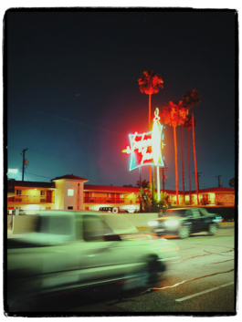 L.A 